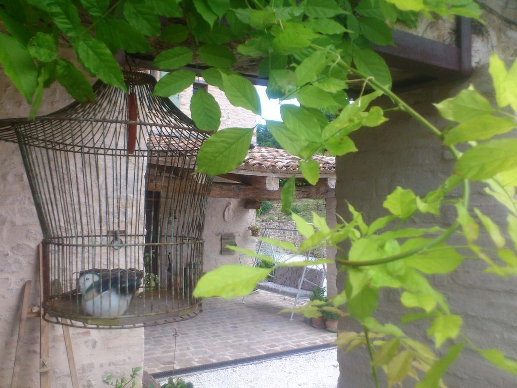 Poggio Dei Prugnoli Bed & Breakfast Tavoleto Екстериор снимка